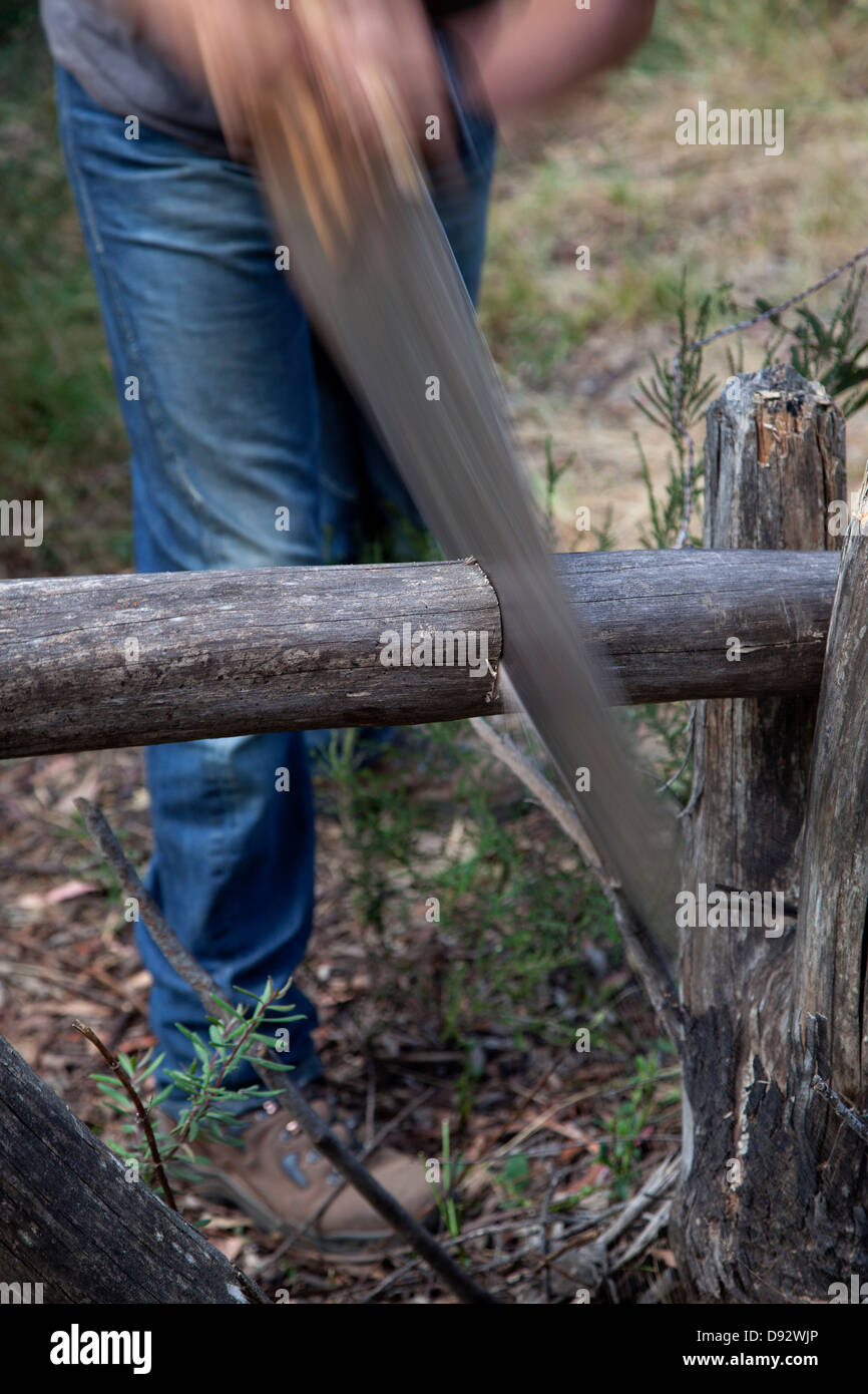 Man cutting log with saw Stock Photo