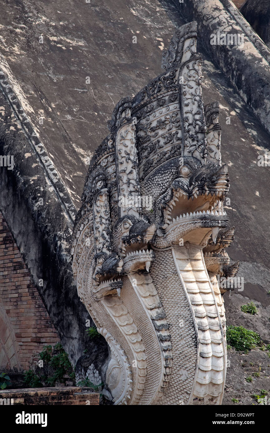 Snake guard hi-res stock photography and images - Alamy