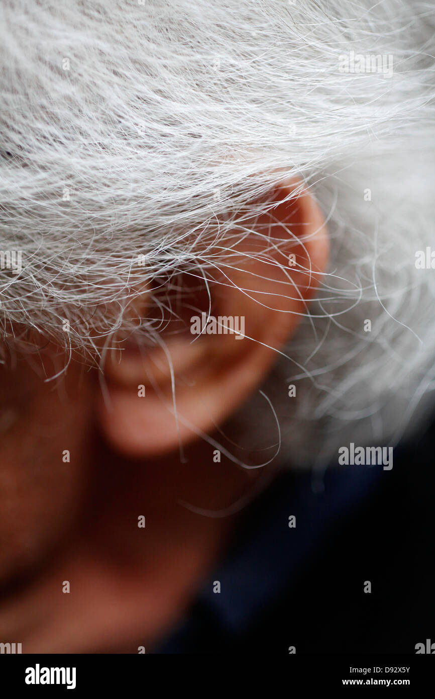 Detail of gray hair and an ear Stock Photo