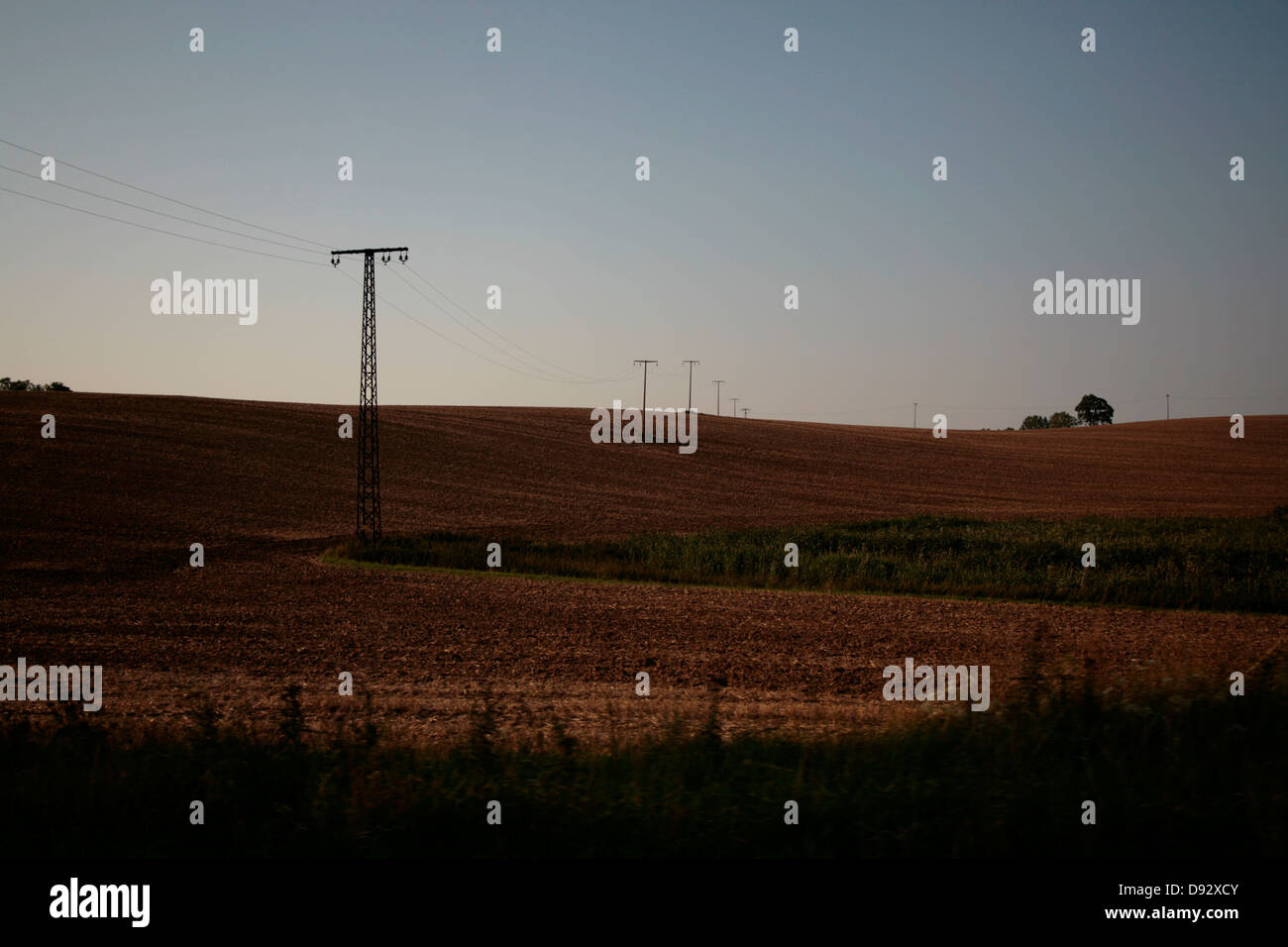 A tranquil landscape scene with telephone poles receding into the distance Stock Photo