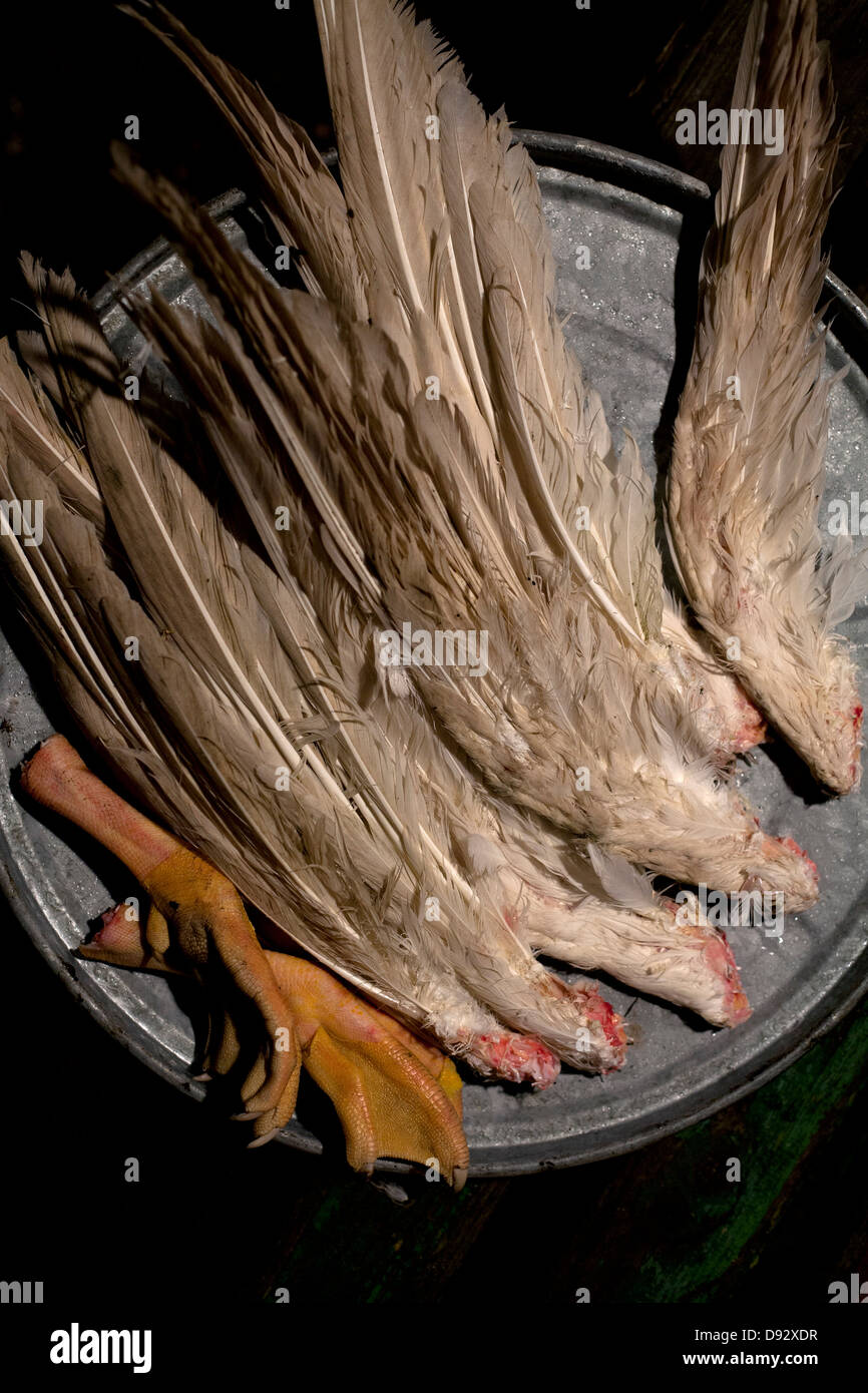 An arrangement of various pairs of goose wings and one pair of goose feet on a barrel Stock Photo