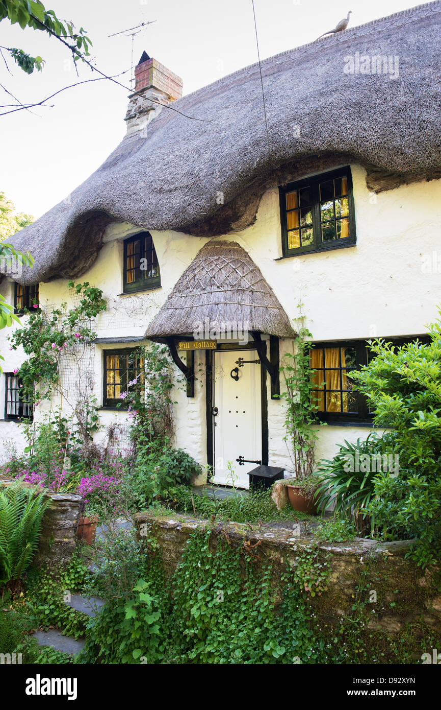Thatched cob cottage. Ringmore, Devon, England Stock Photo Alamy