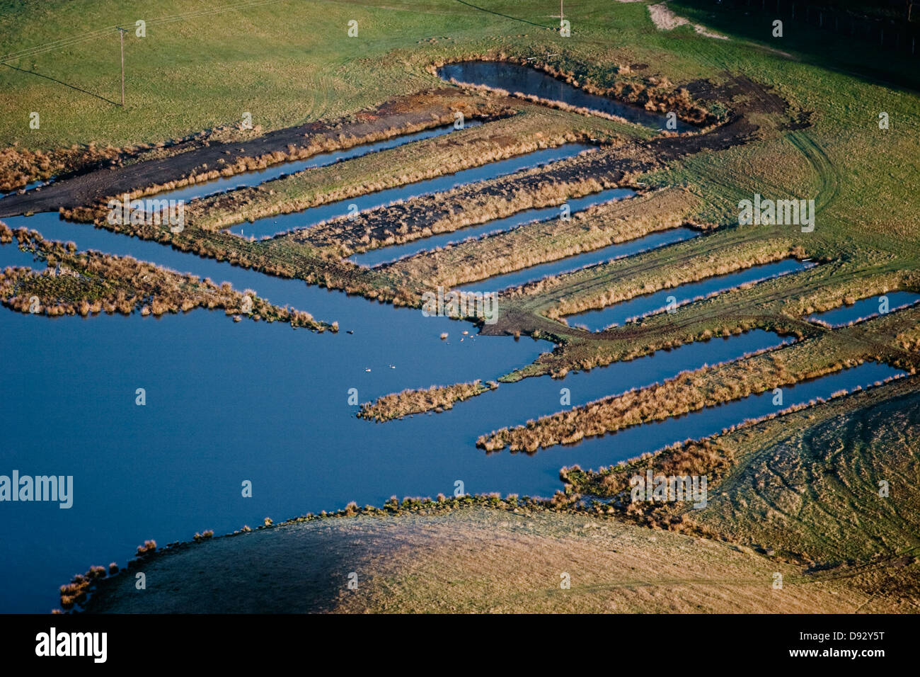Wetlands, Skane, Sweden. Stock Photo