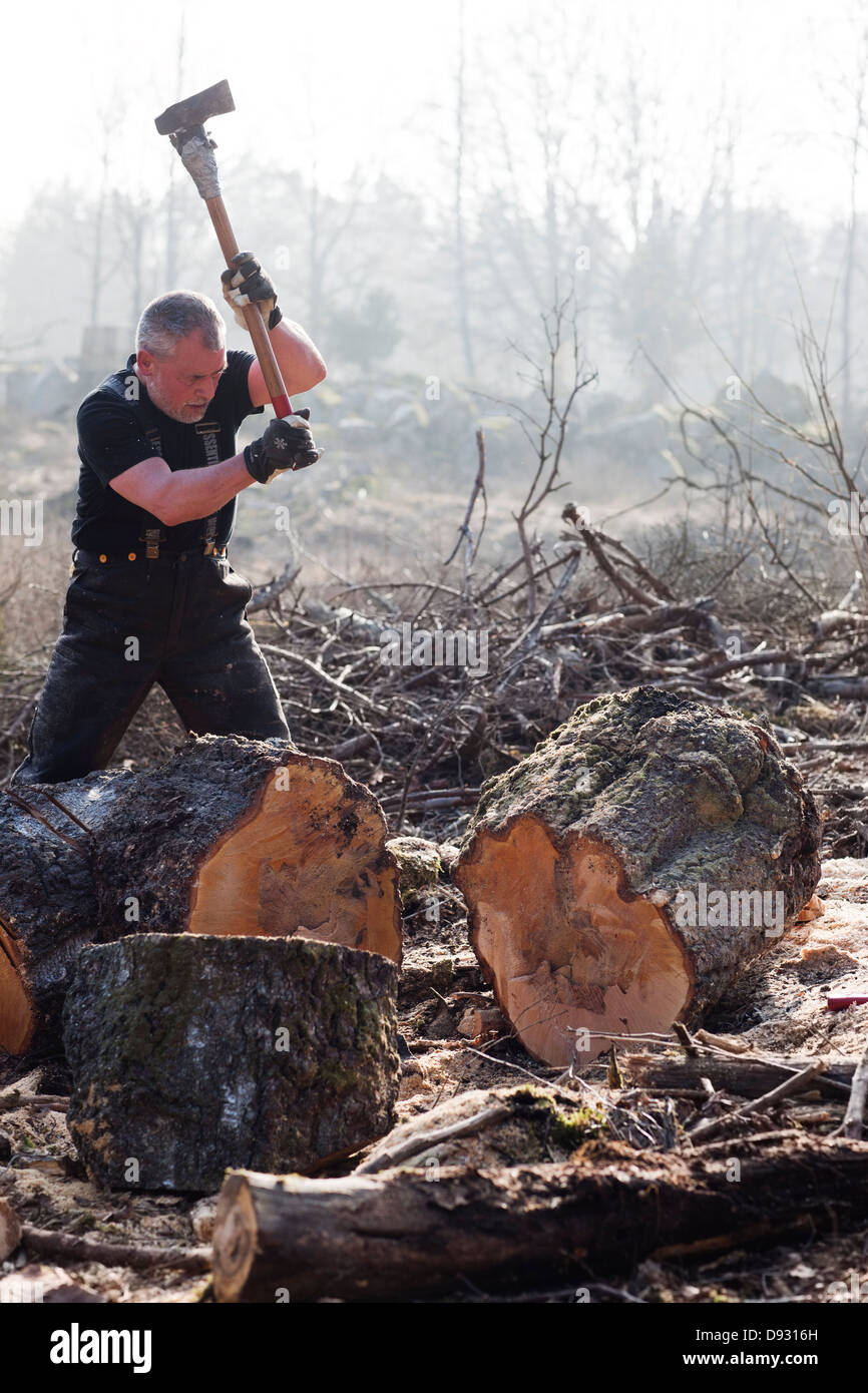 Senior man chopping tree Stock Photo