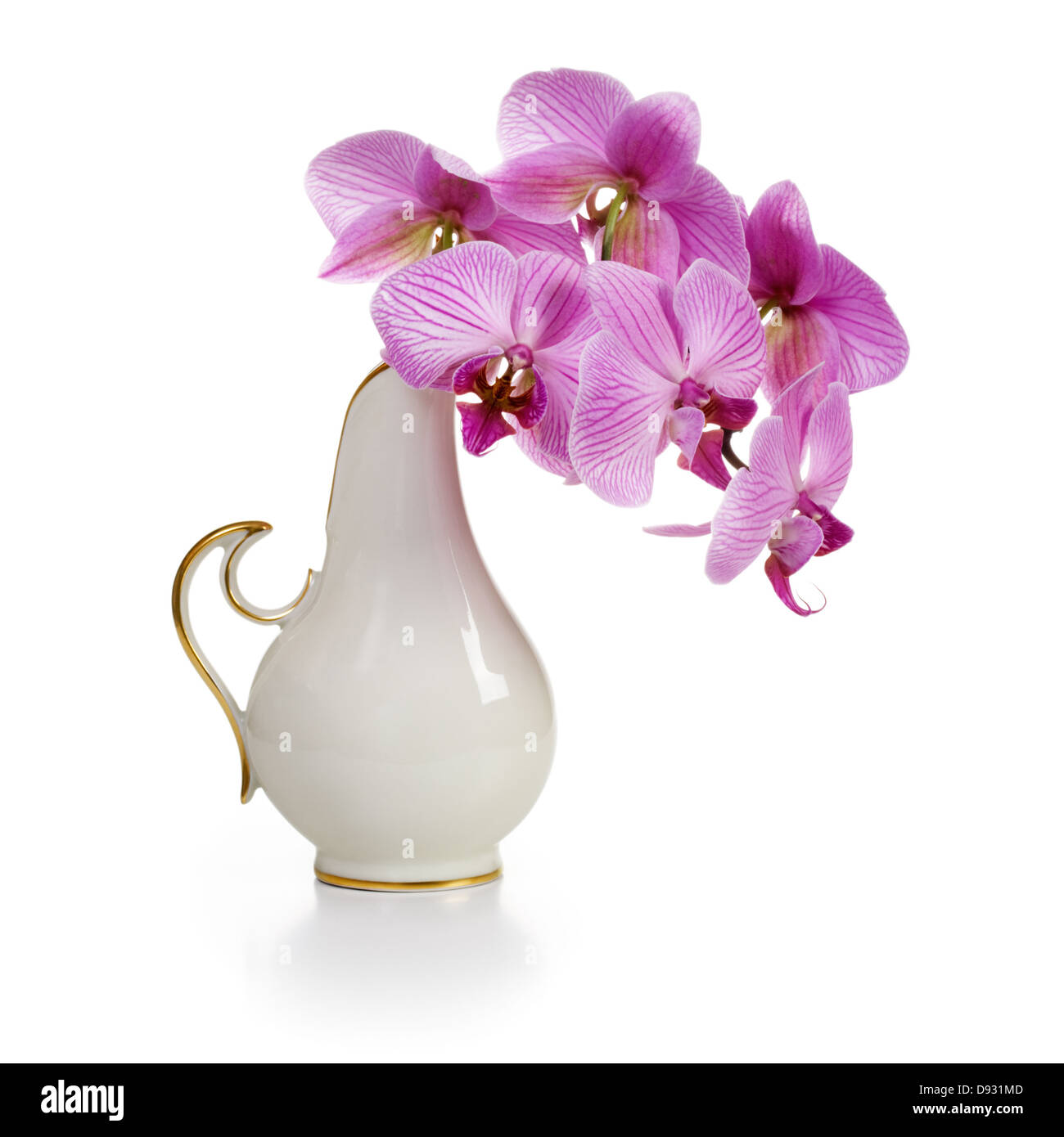 Old white porcelain vase with pink orchid flowers on white background