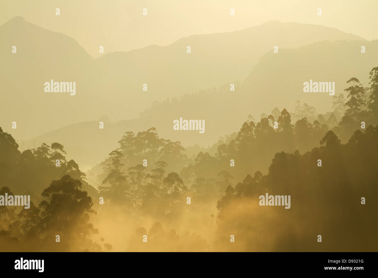 Morning sunshine over the misty forest and mountains Stock Photo