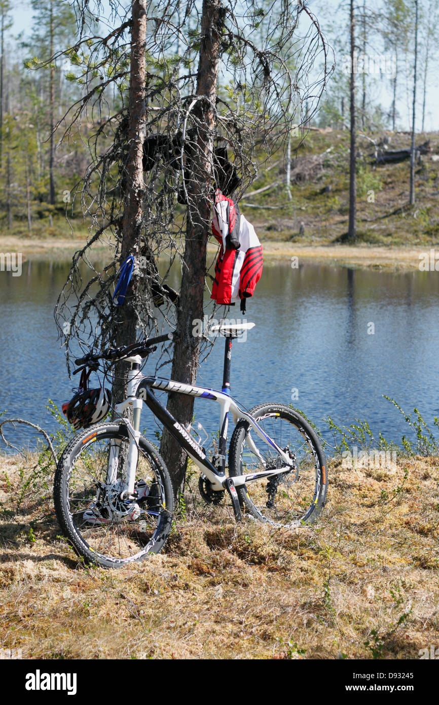 Bike leaning on tree at lake Stock Photo
