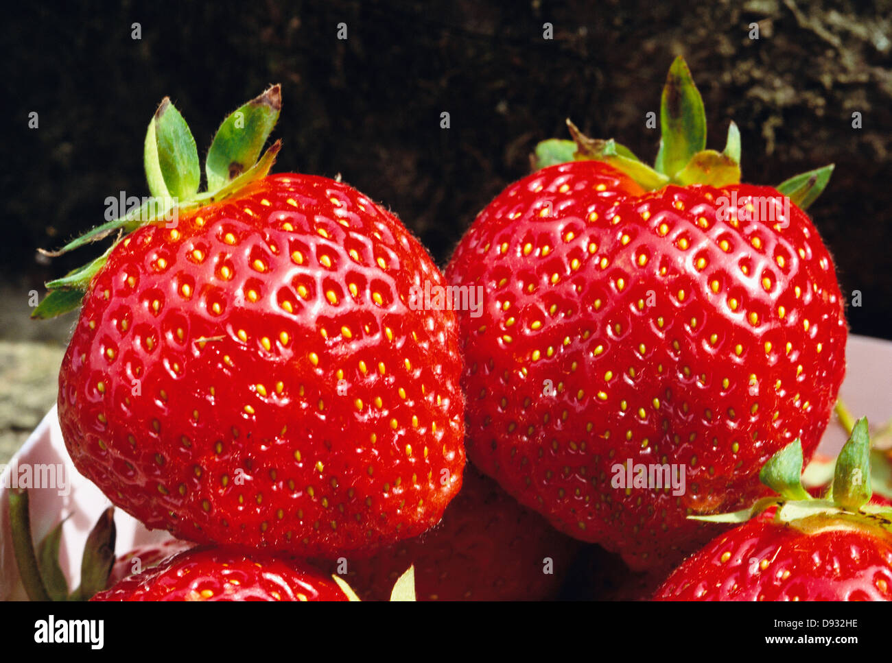 Strawberries, closeup, Sweden Stock Photo Alamy