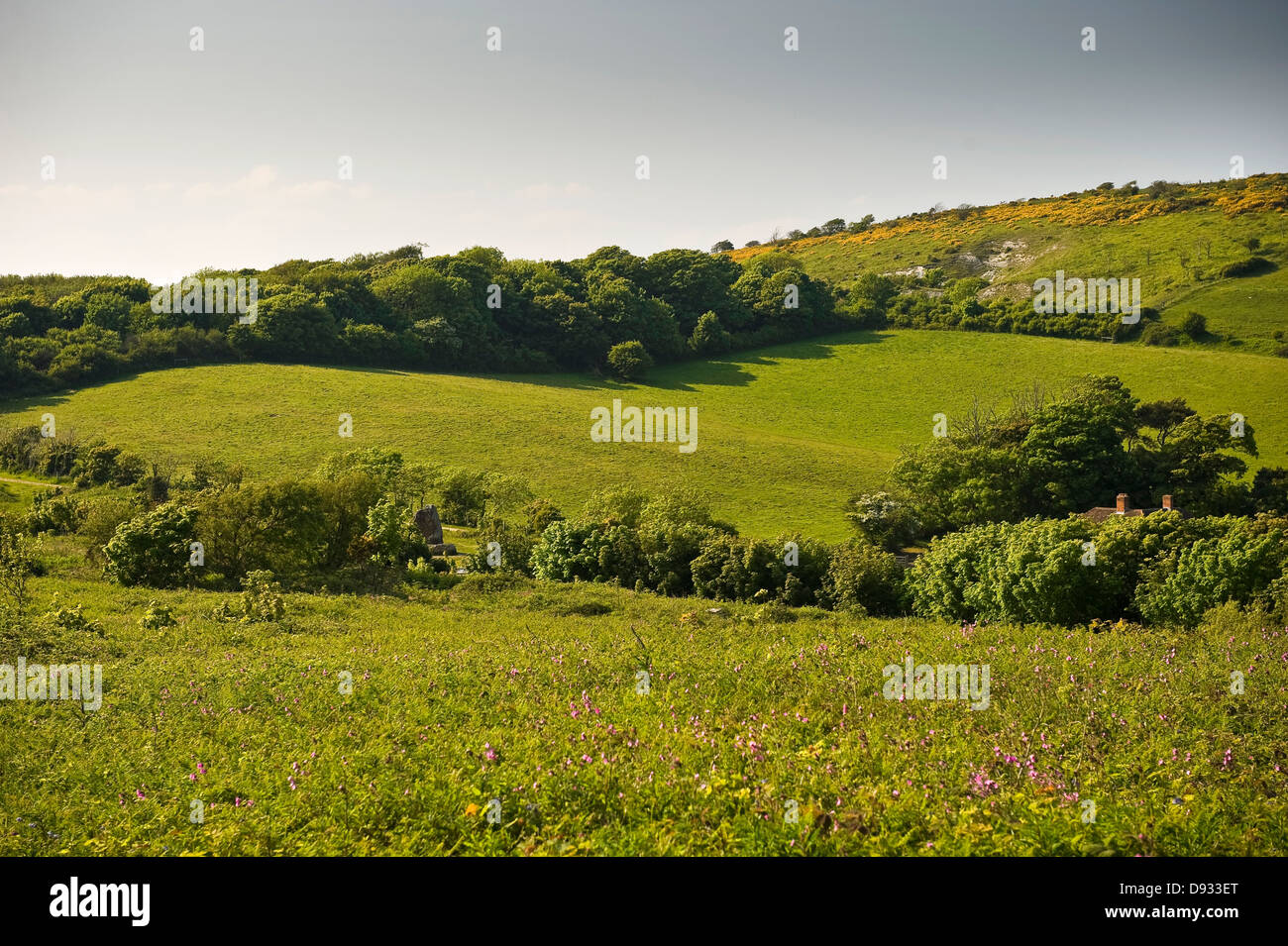 View from Castle Hill over Mottistone Down, Isle of Wight, UK Stock Photo