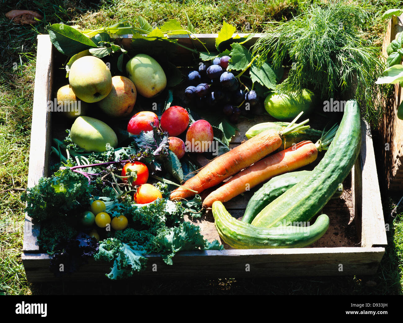 Homegrown vegetables, Sweden Stock Photo Alamy