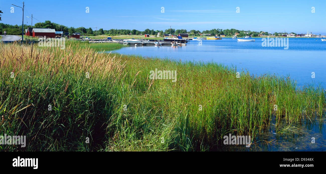 A bay with boardwalk and reed Stock Photo - Alamy