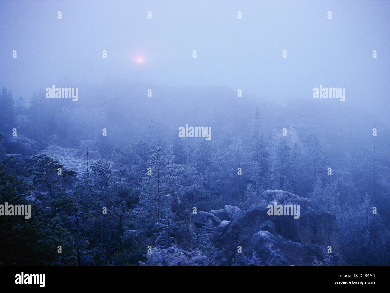 Trees against blue sky Stock Photo - Alamy