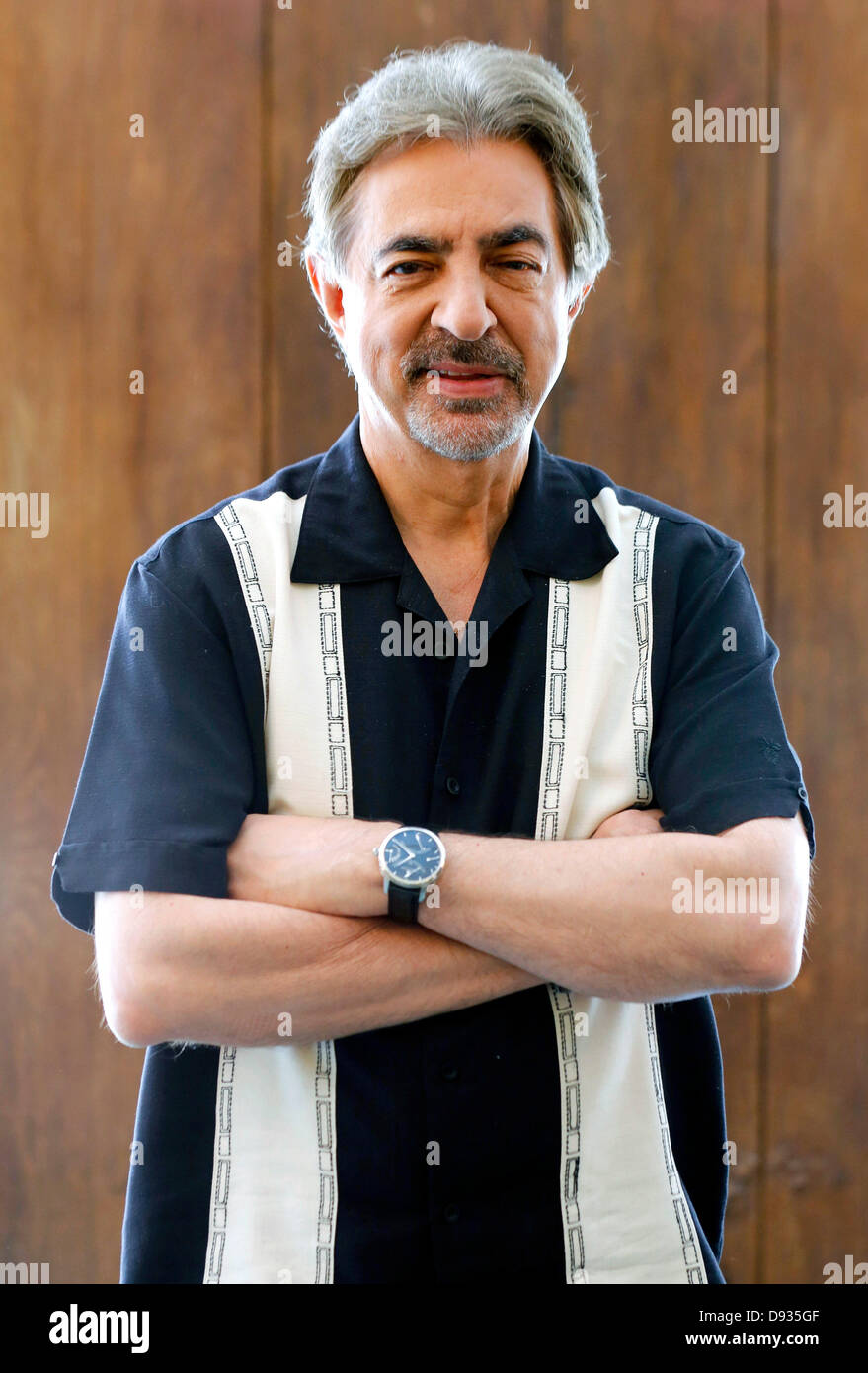 Joe Mantegna attends the photocall for the TVshow 'Criminal Minds' at