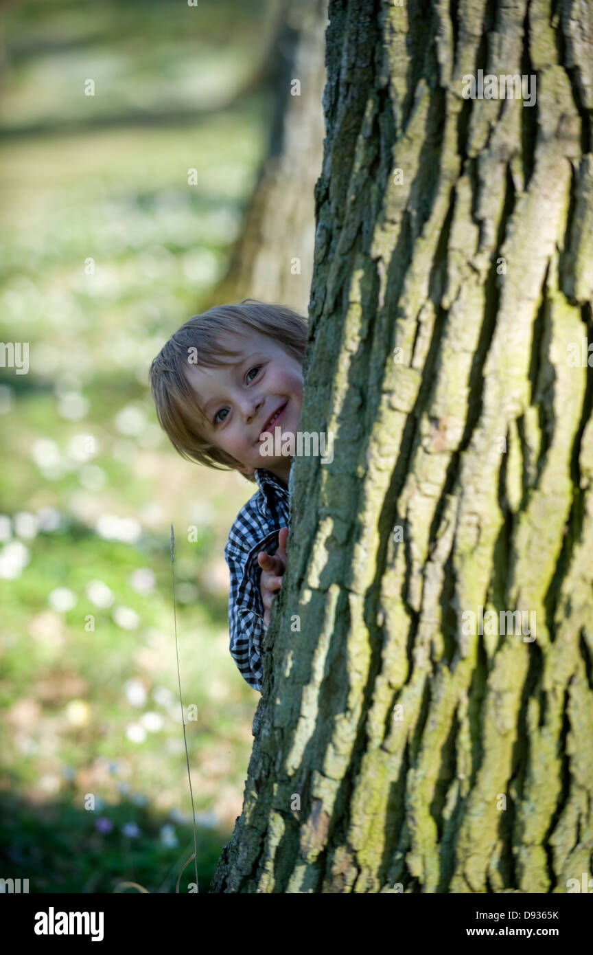 Boy behind an oak-tree, Sweden Stock Photo - Alamy