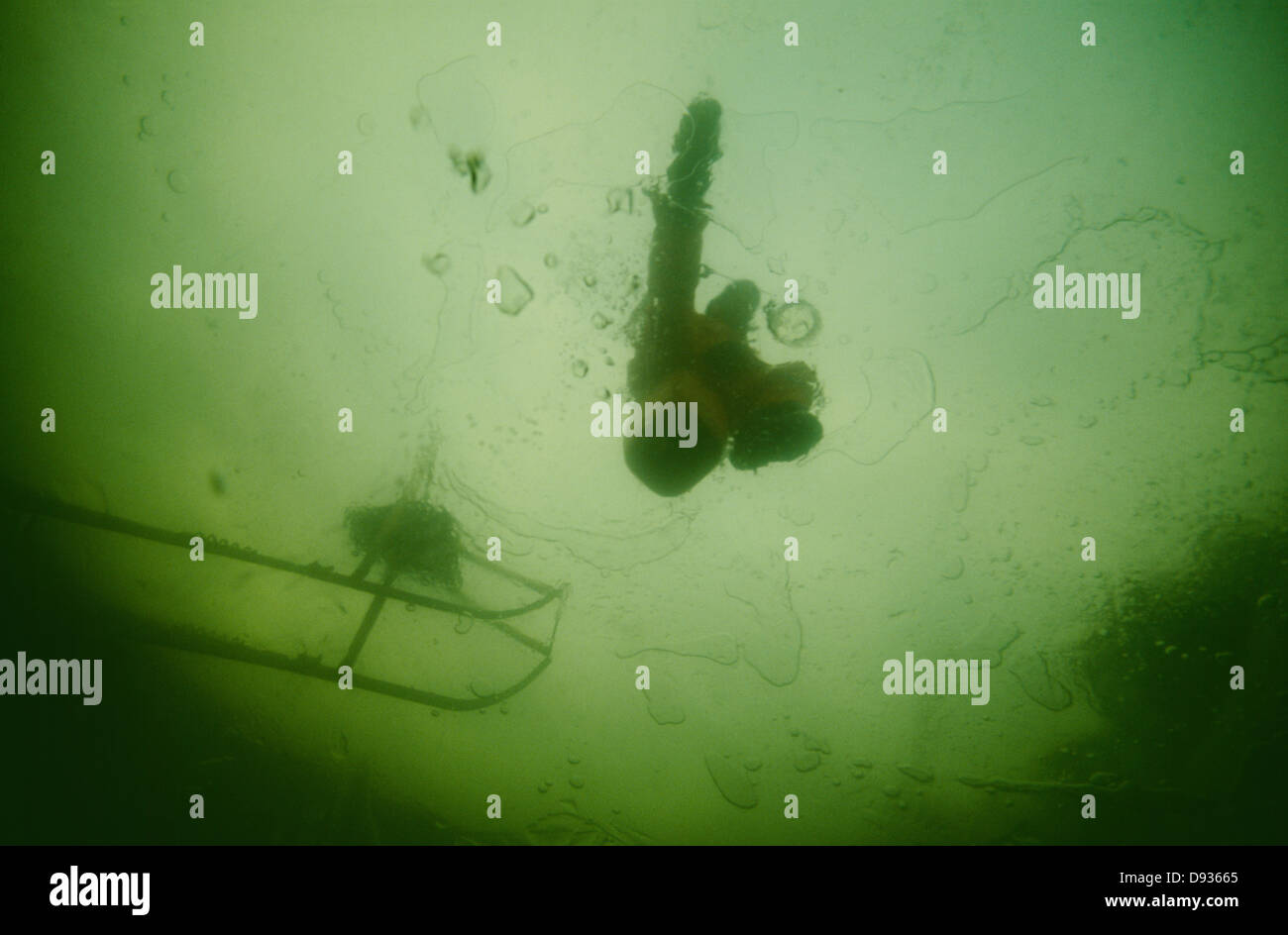 Diver underwater at depth Stock Photo