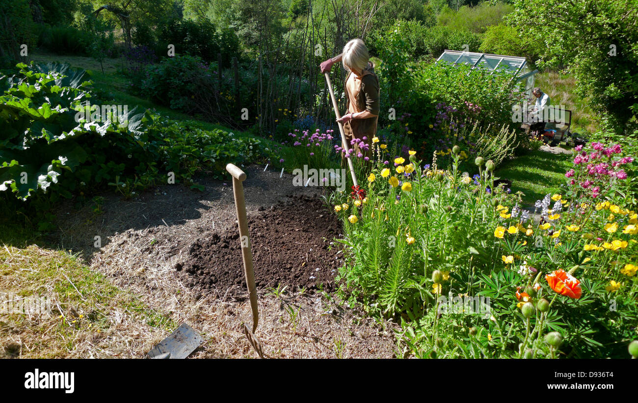 Woman preparing a bed for planting out flowers in her garden with