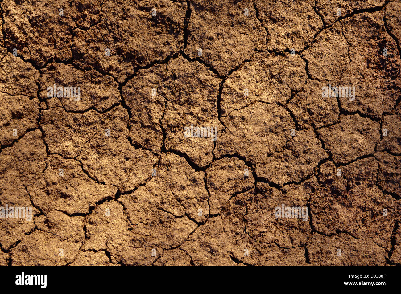 Dry soil texture on the ground Stock Photo