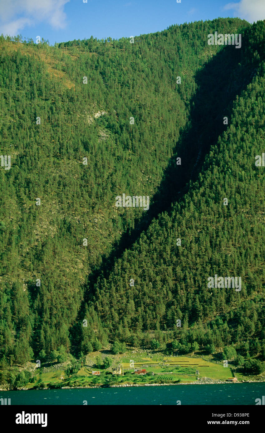 Lush forest by water hi-res stock photography and images - Alamy