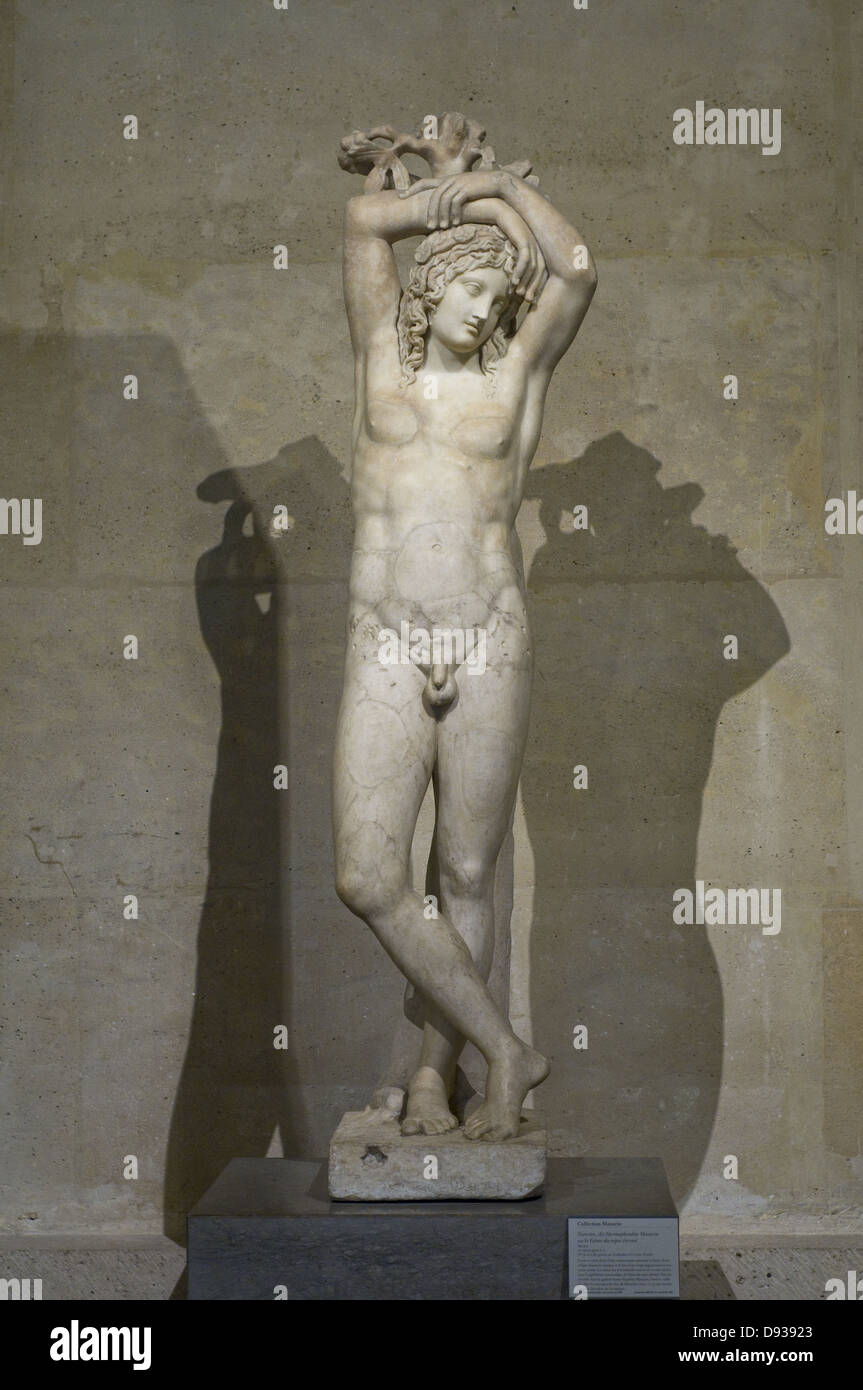 Hermaphrodite Gallery Hermaphrodite Gallery