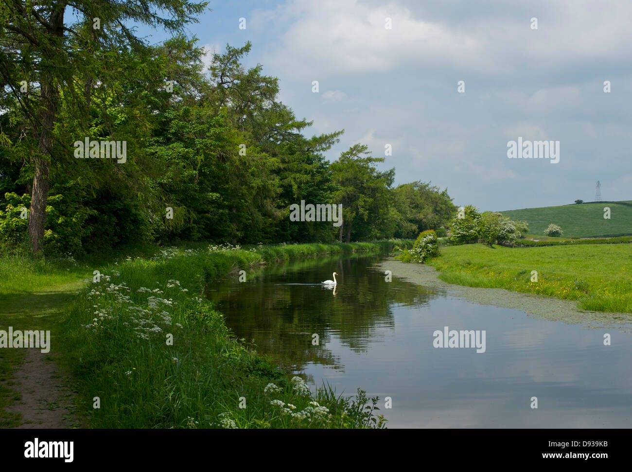 The Lancaster Canal at Crooklands, Cumbria, England UK Stock Photo