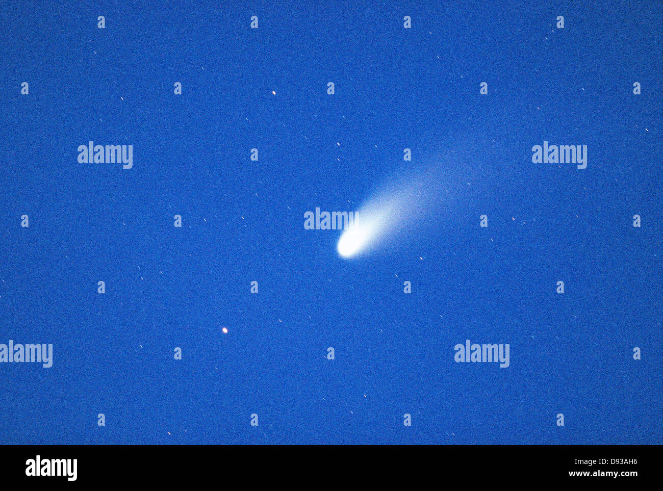 The Comet Hale-Bopp. Stock Photo