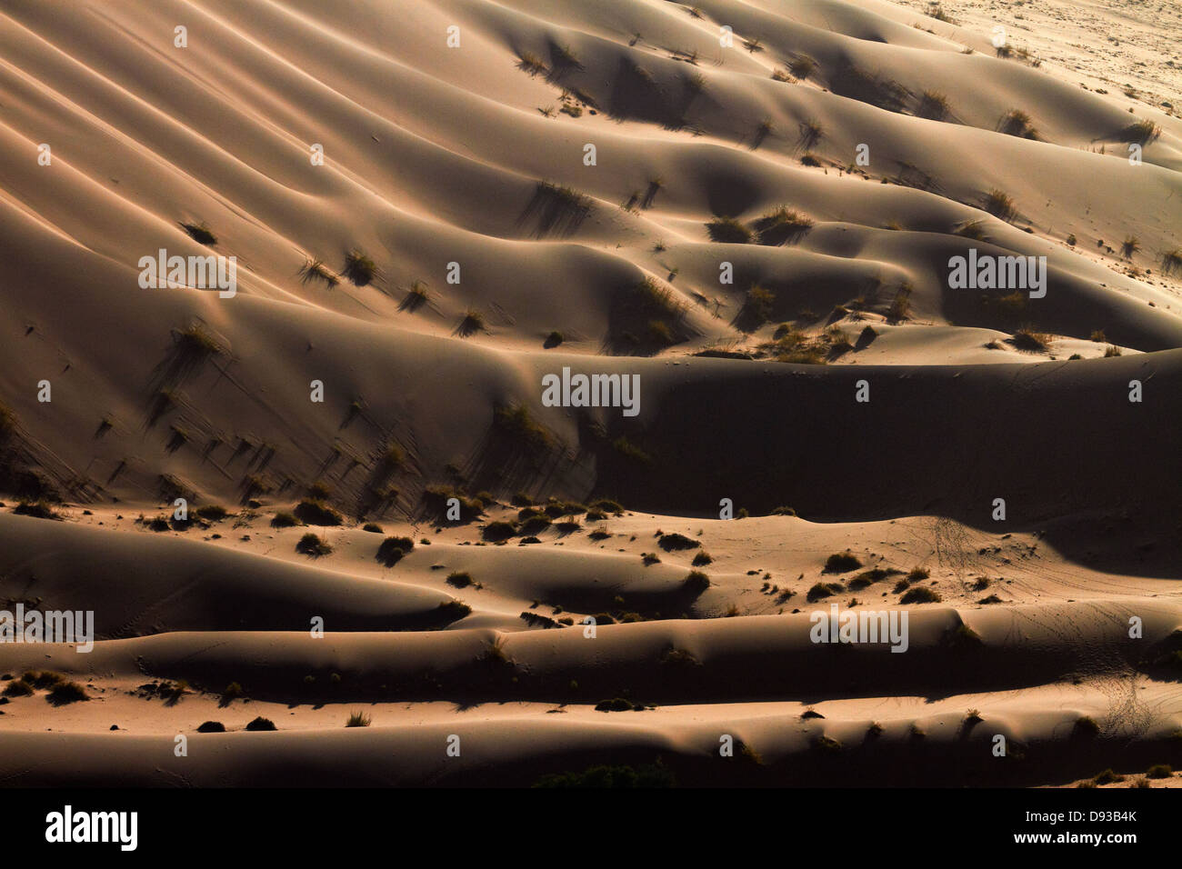 Sand dunes near Sossusvlei, Namib-Naukluft National Park, Namibia, Africa Stock Photo