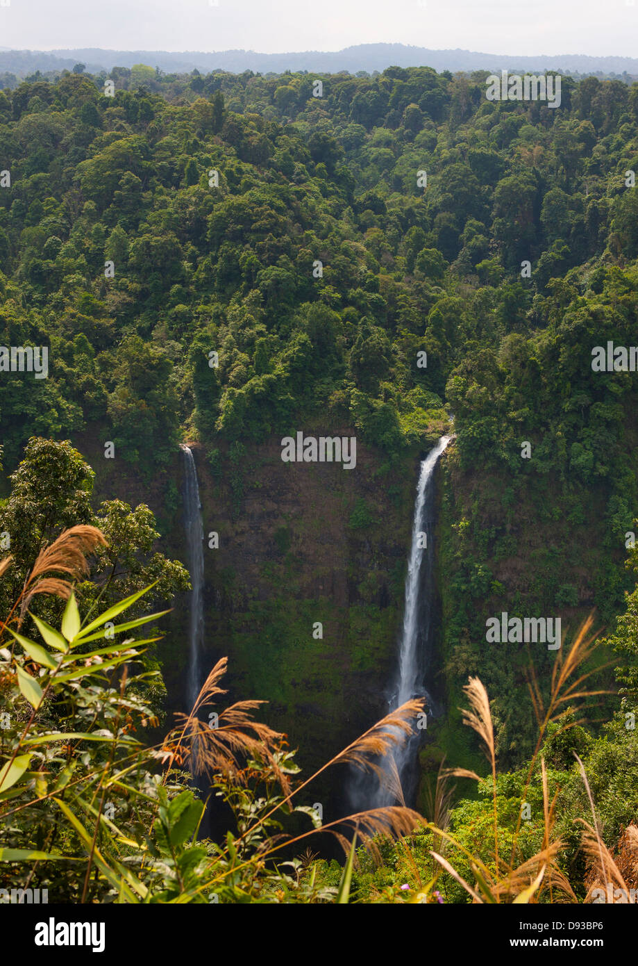 Tad Fane Waterfall, Boloven, Laos Stock Photo