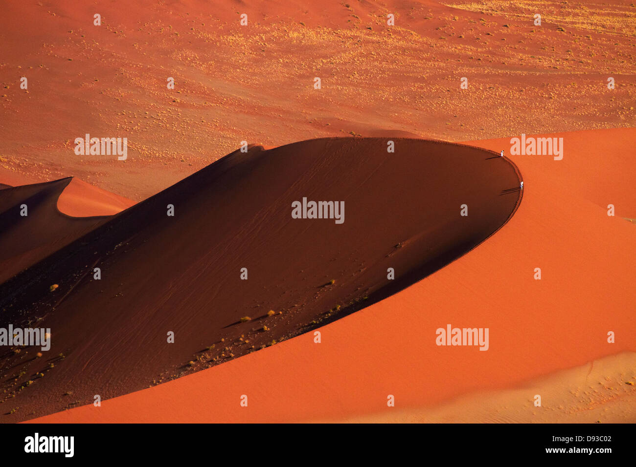 People climbing sand dune at Sossusvlei, Namib-Naukluft National Park ...