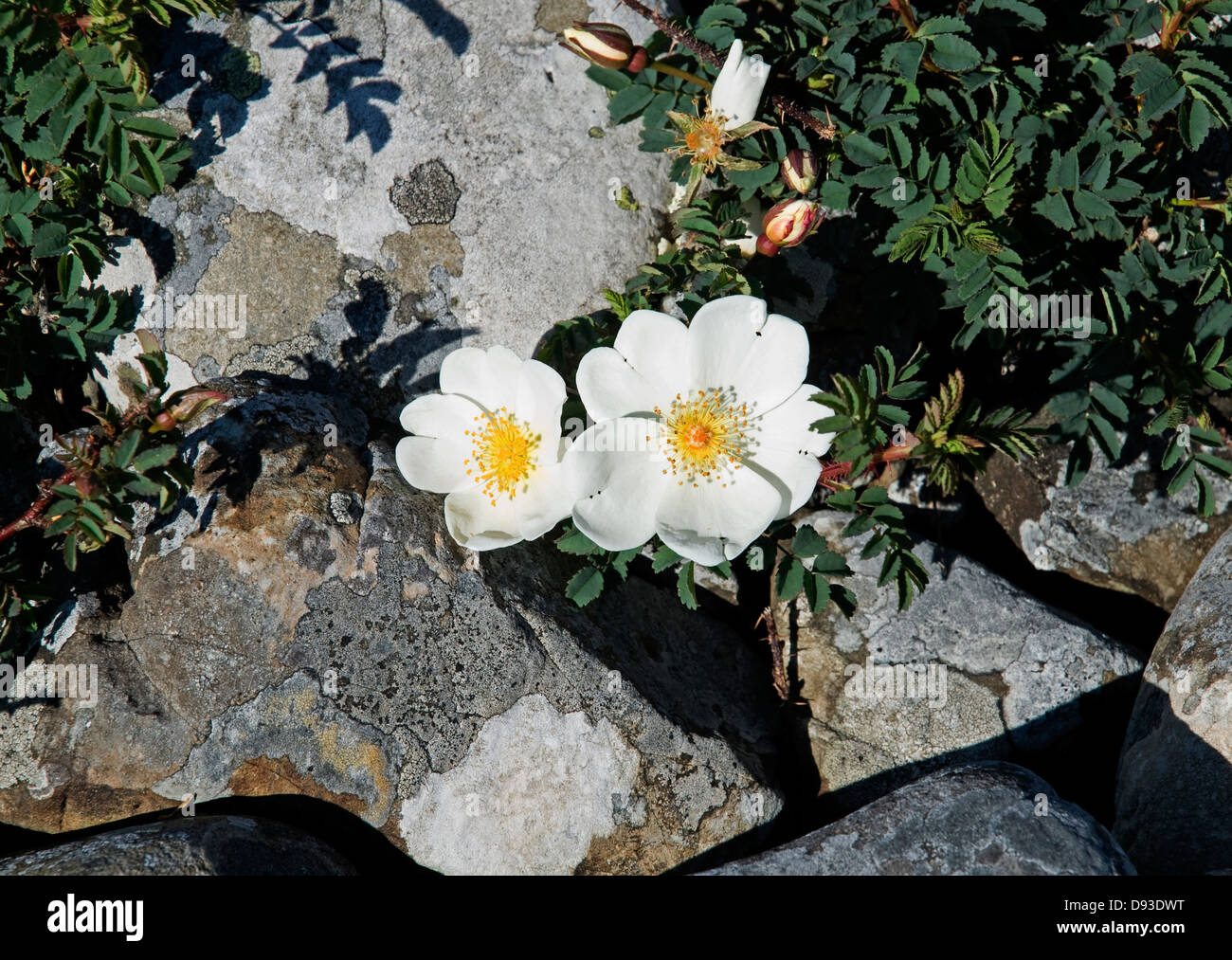 Northern point of ireland hi-res stock photography and images - Alamy