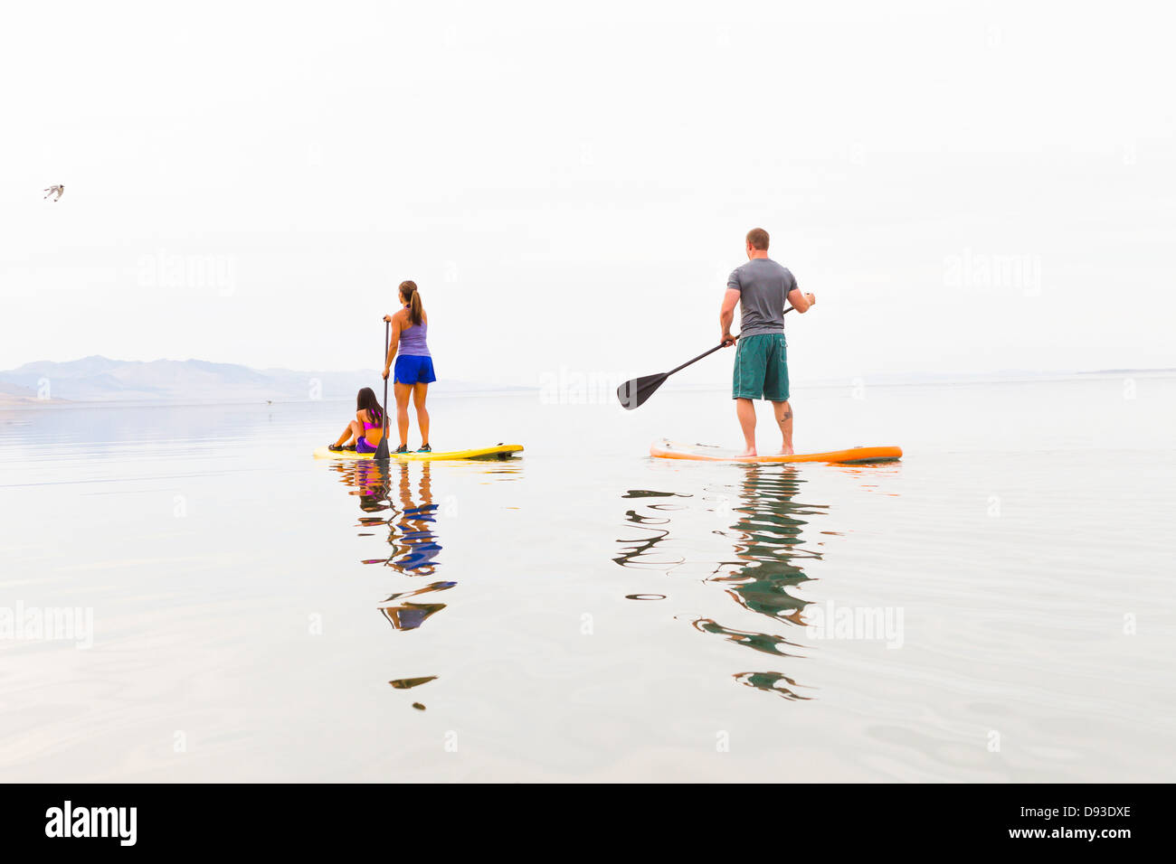 Family riding paddle boards Stock Photo