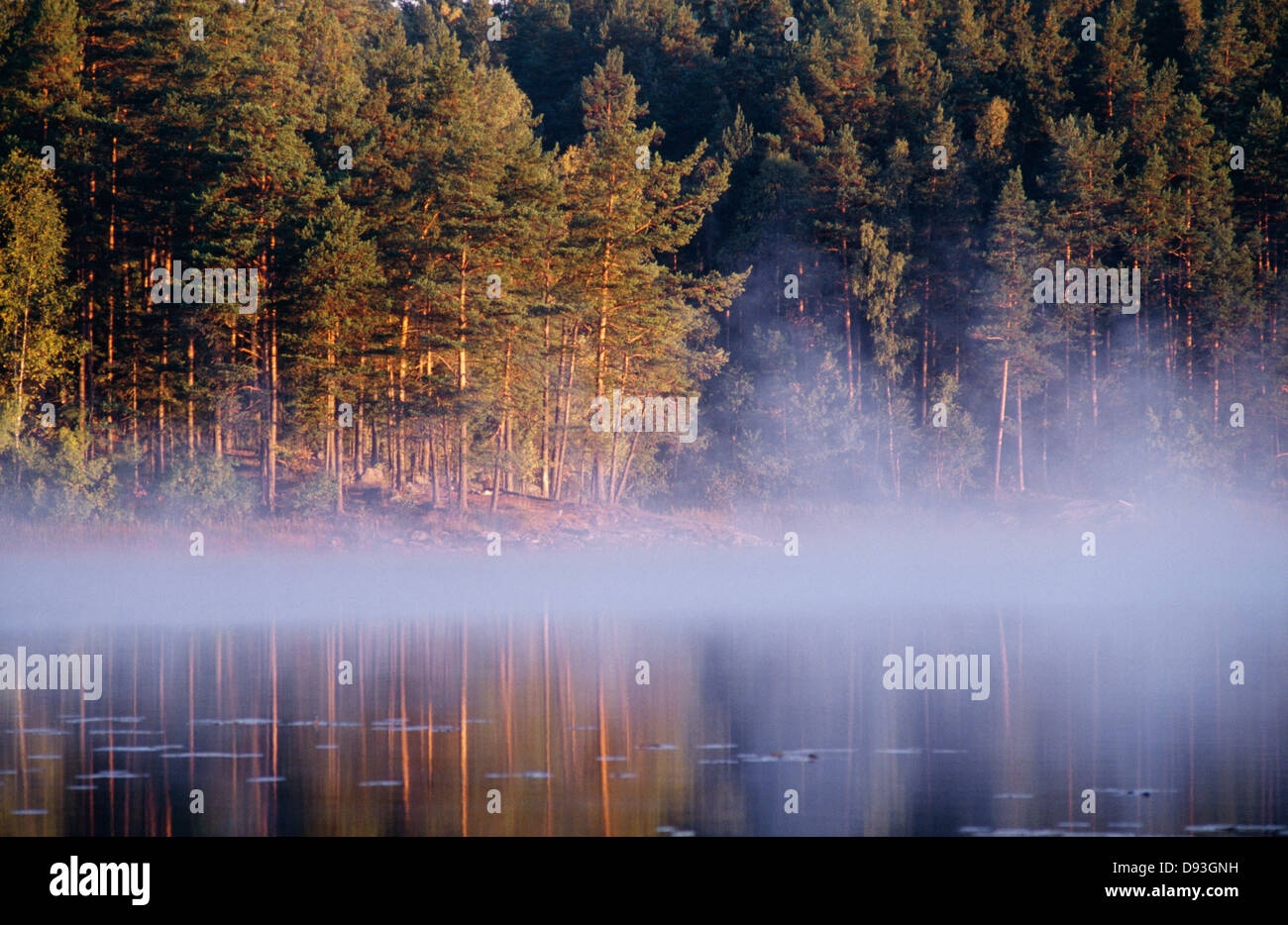 Dense fog over lake hi-res stock photography and images - Alamy
