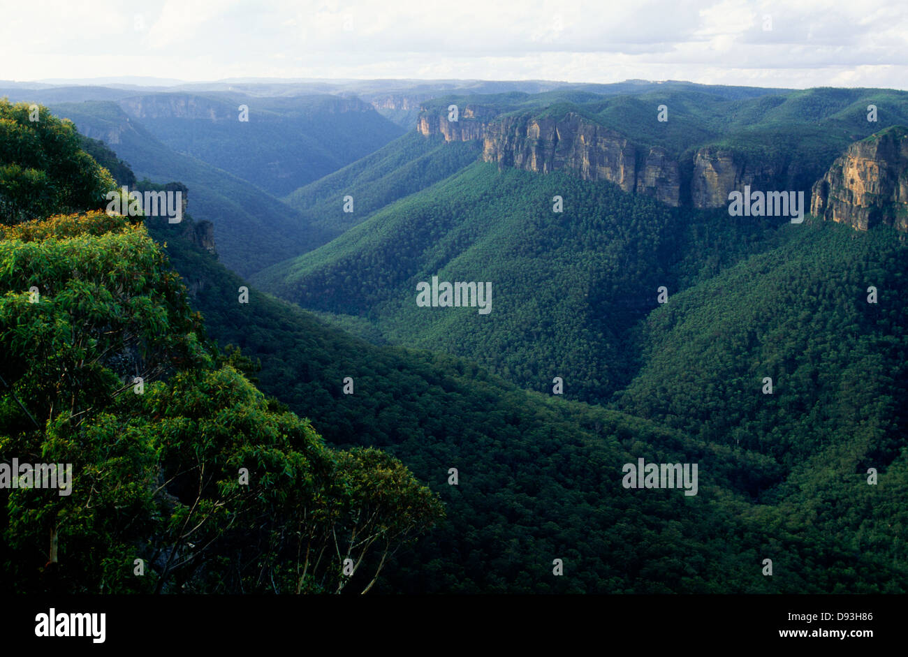 Lush hills hi-res stock photography and images - Alamy