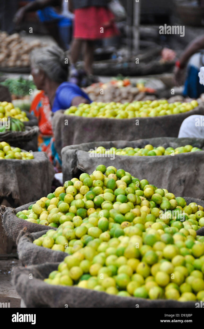 Limes for sale at the market, Varanasi, Uttar Pradesh, India Stock ...