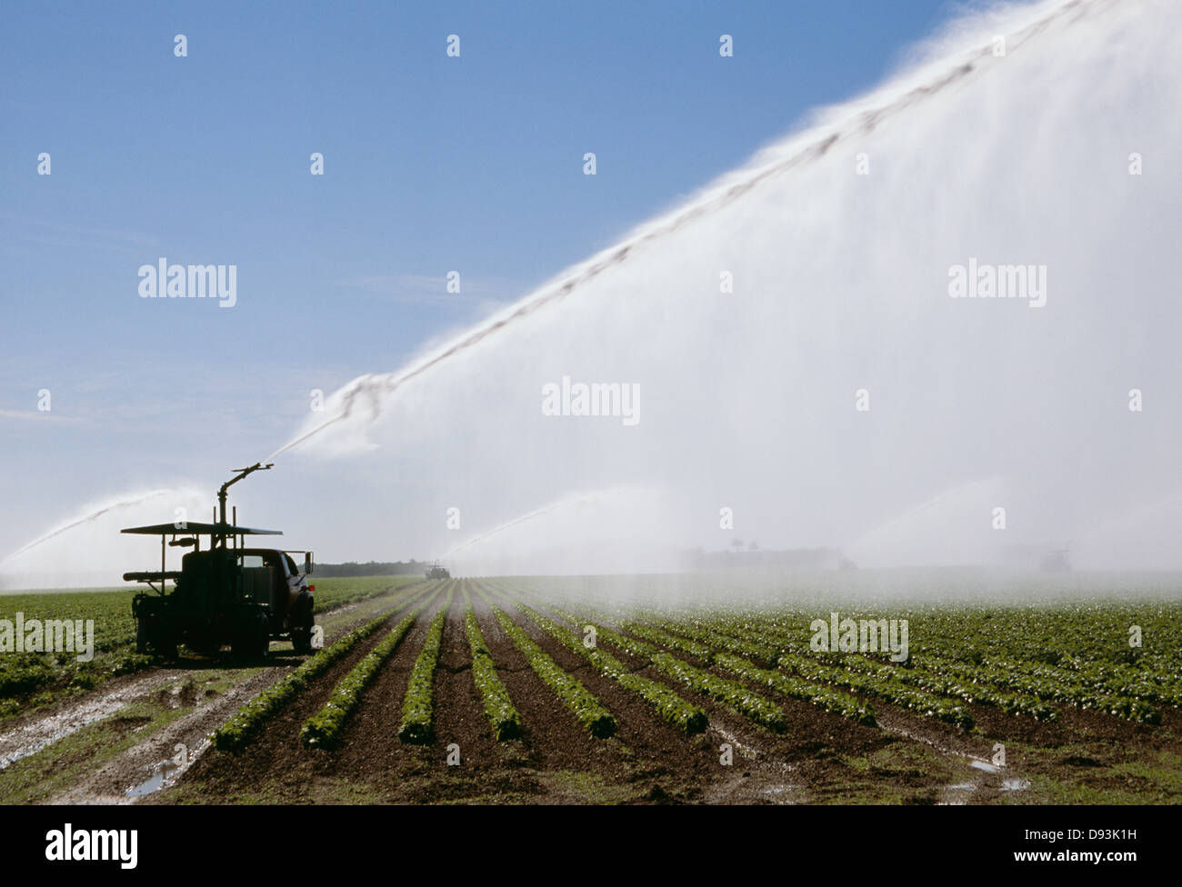 Irrigation truck spraying water on field Stock Photo Alamy