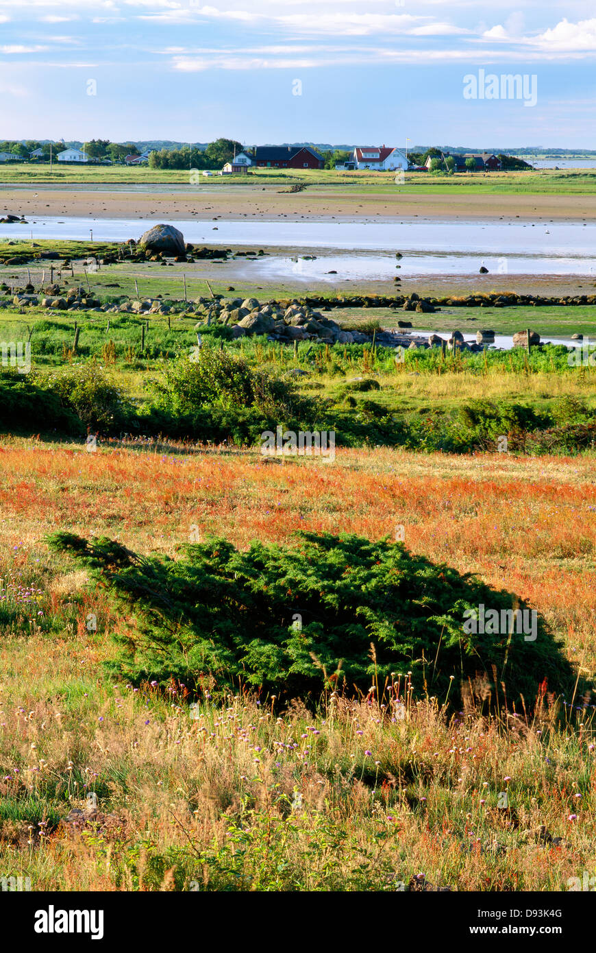 Pastureland by the sea in Halland, Sweden. Stock Photo