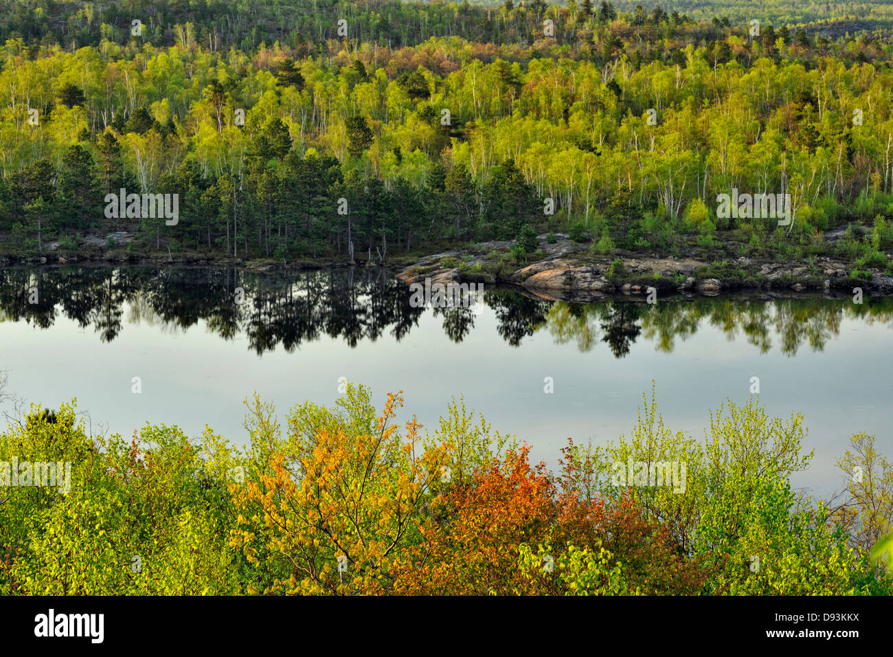 Hardwood trees with emerging foliage on the shore of a small lake with pines Greater Sudbury