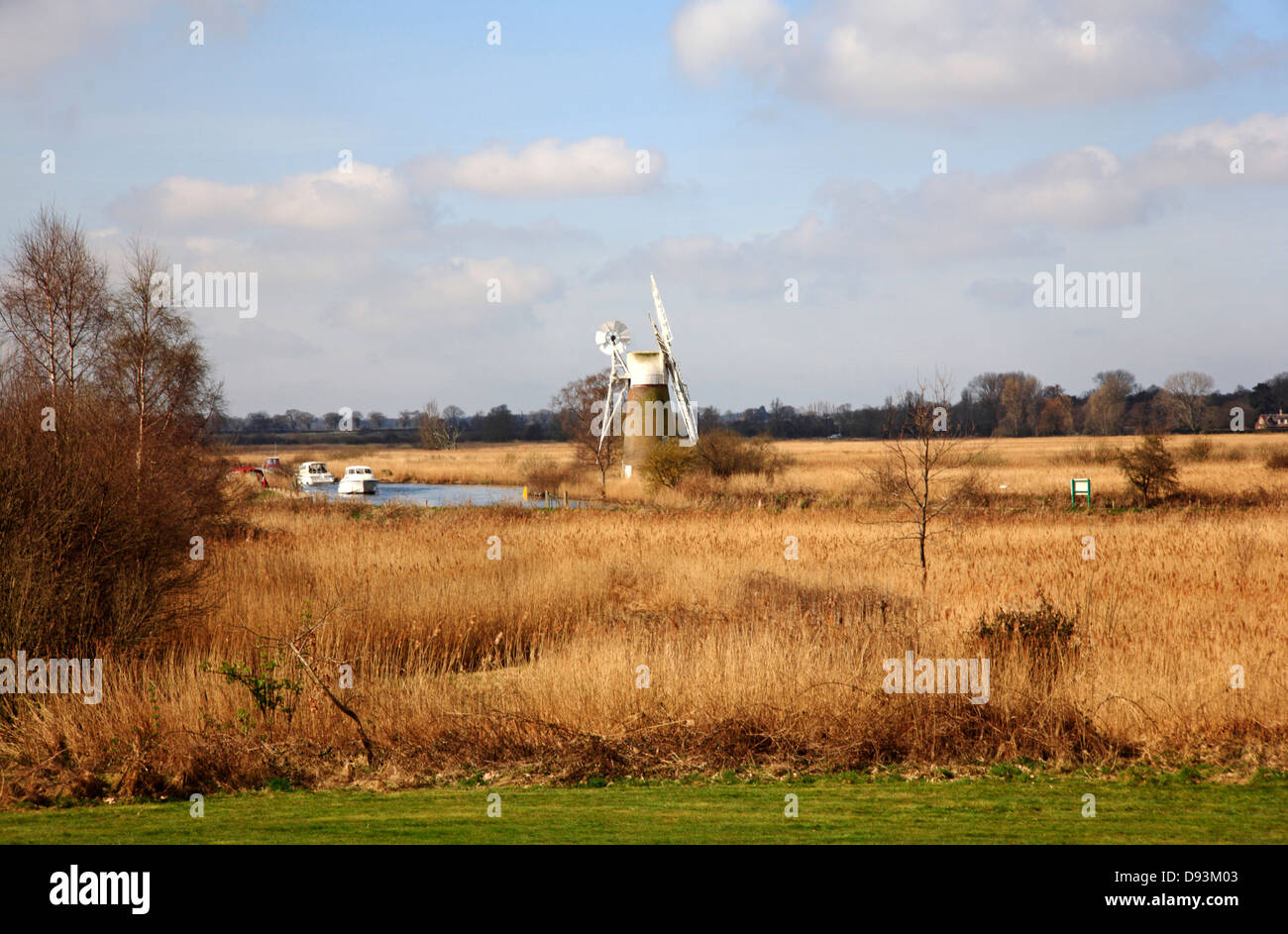 Norfolk broads reed beds hi-res stock photography and images - Alamy