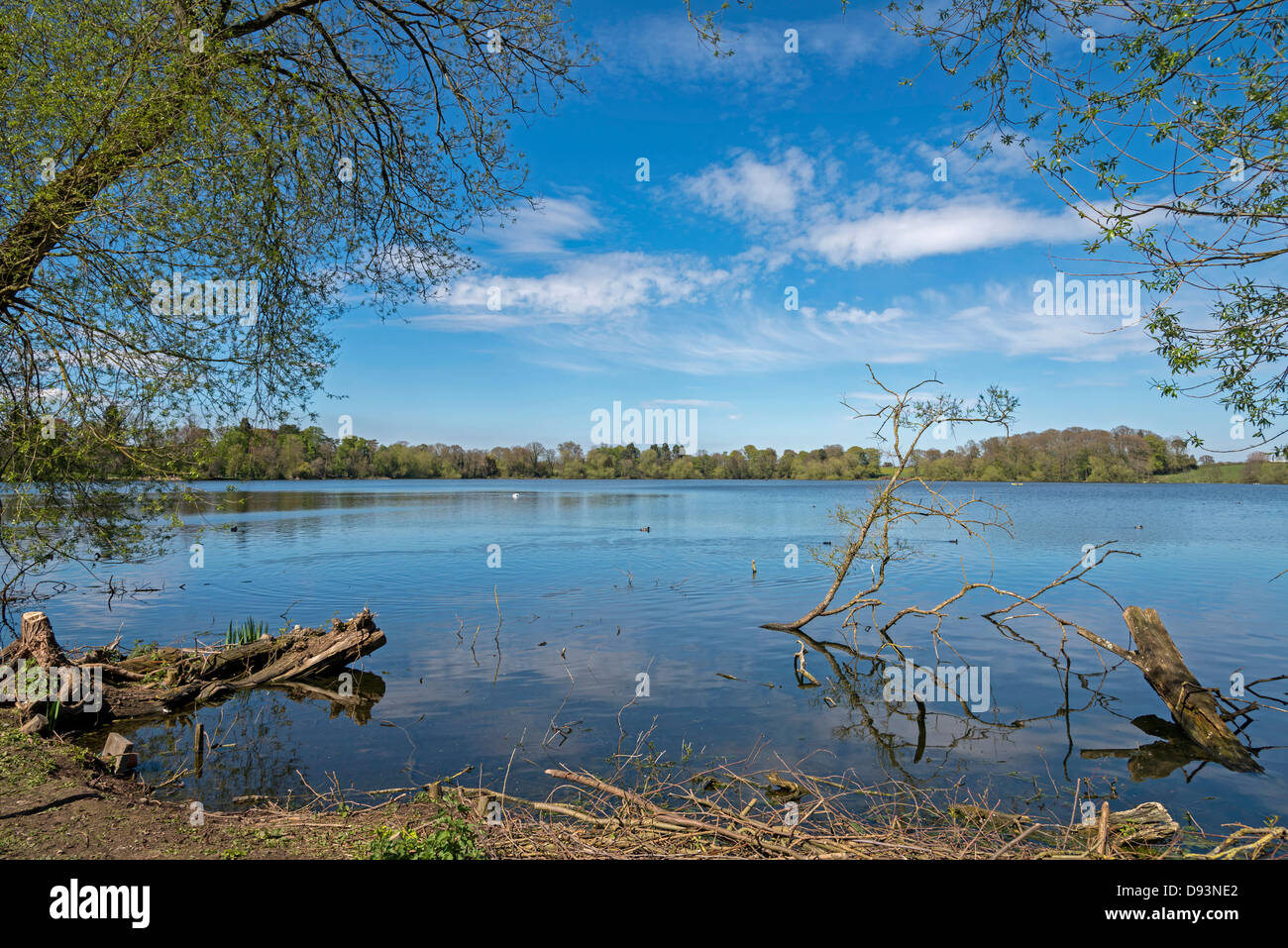 Lake ellesmere hires stock photography and images Alamy