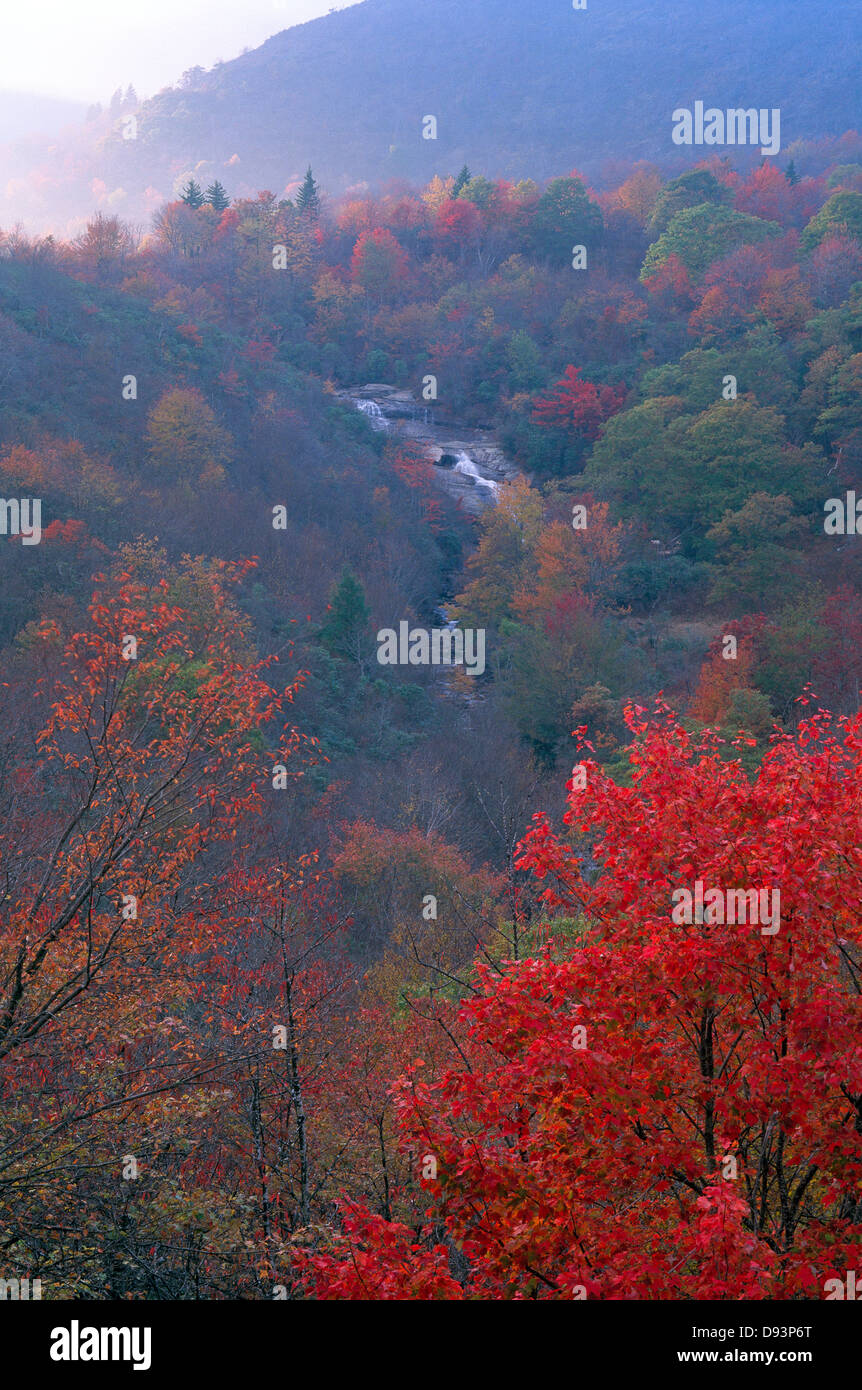 View Over Trees View over trees and mountains Stock Photo - Alamy