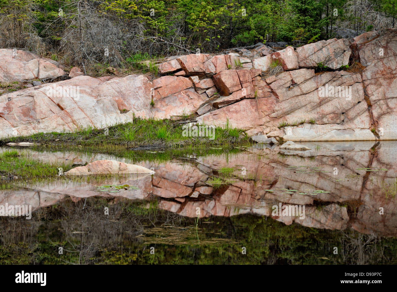 Canadian Shield granite outcrops reflected in a beaver pond Killarney Ontario Canada Stock Photo