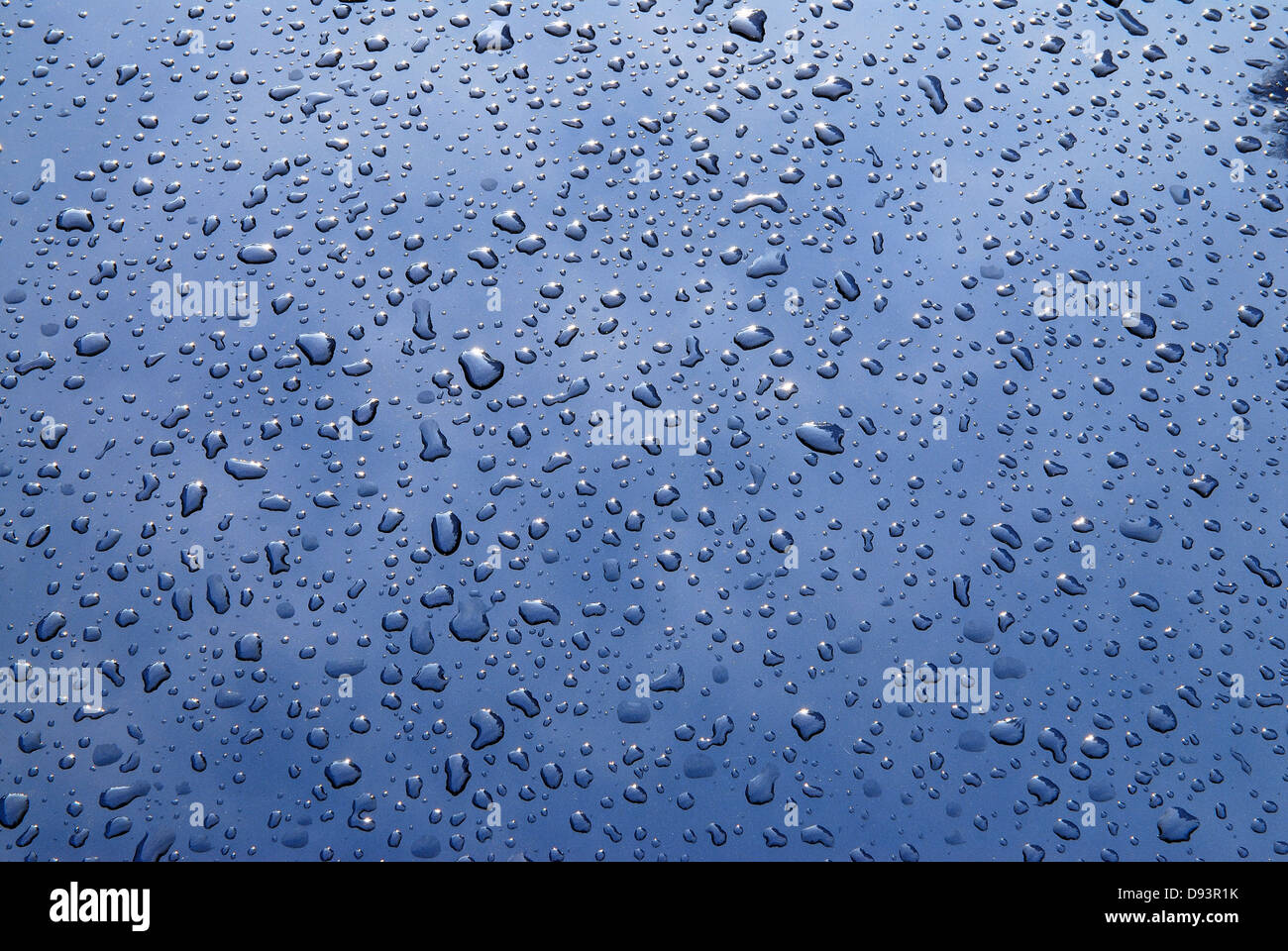 Raindrops on glass. Stock Photo