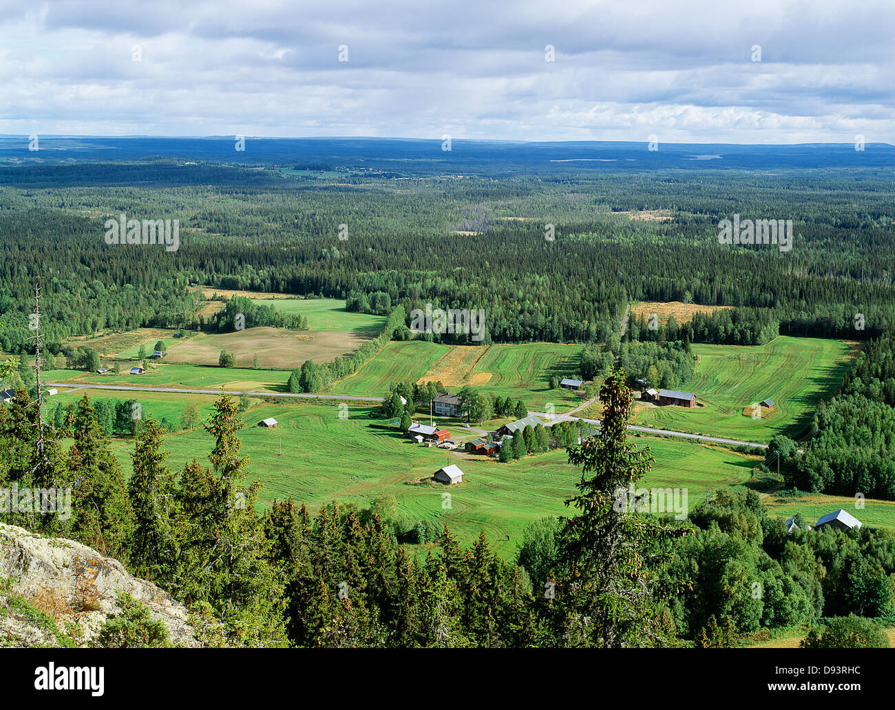 Tranquil rural scene Stock Photo