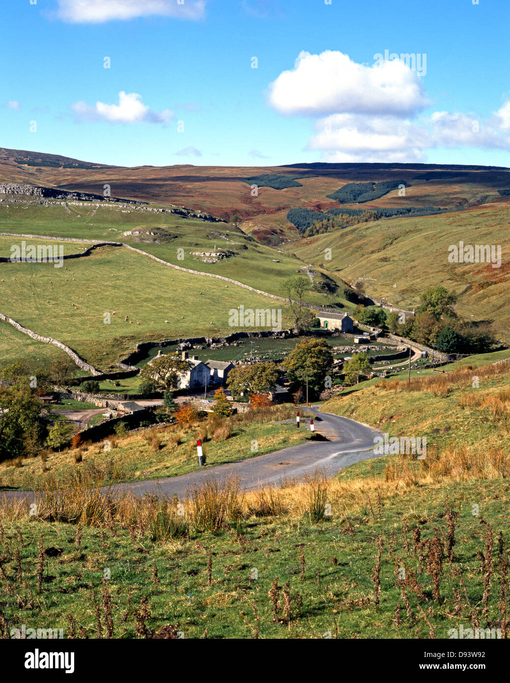 View across farmland and fell, Darnbrook, Yorkshire Dales, North Yorkshire, England, UK, Great Britain, Western Europe. Stock Photo