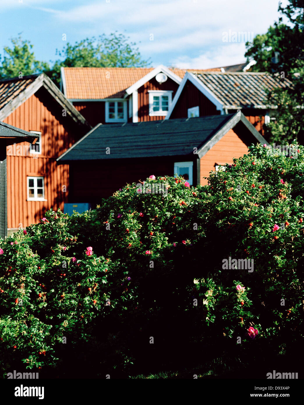 Red cottages in Gryt archipelago, Ostergotland, Sweden Stock Photo Alamy