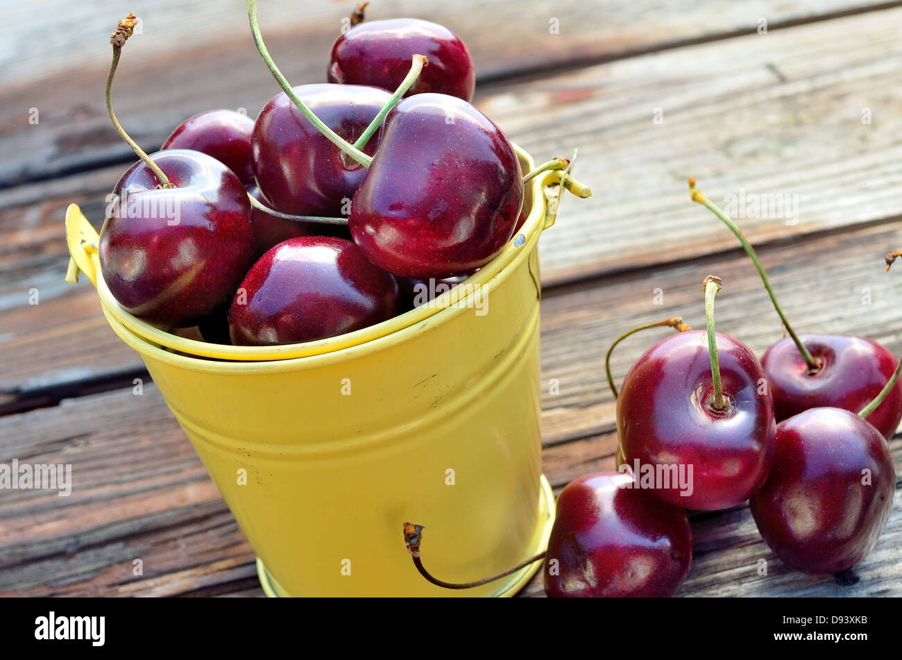 red cherries in yellow bucket Stock Photo Alamy