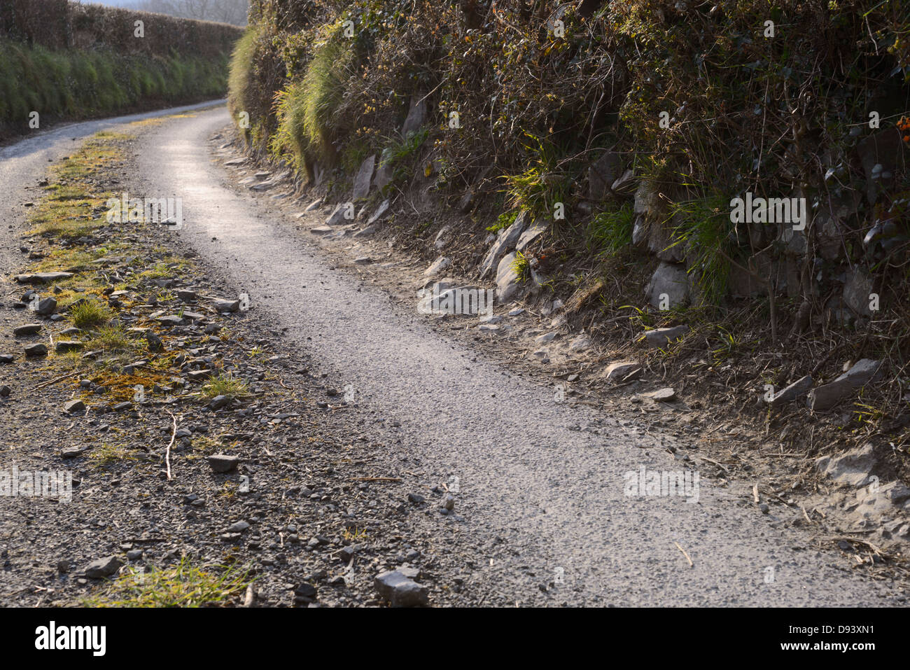 Damage to a traditional roadside clawdd wall (rocks set in an earth ...