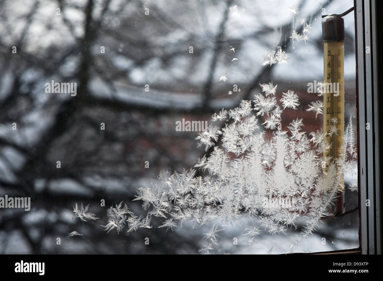 Ice crystals on window during winter with thermometer Stock Photo