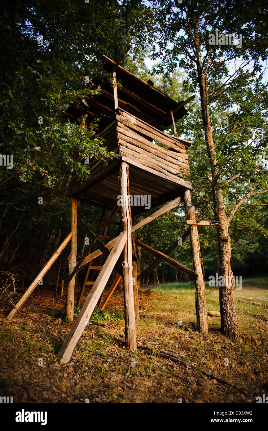 Old wooden lookout tower in forest Stock Photo Alamy