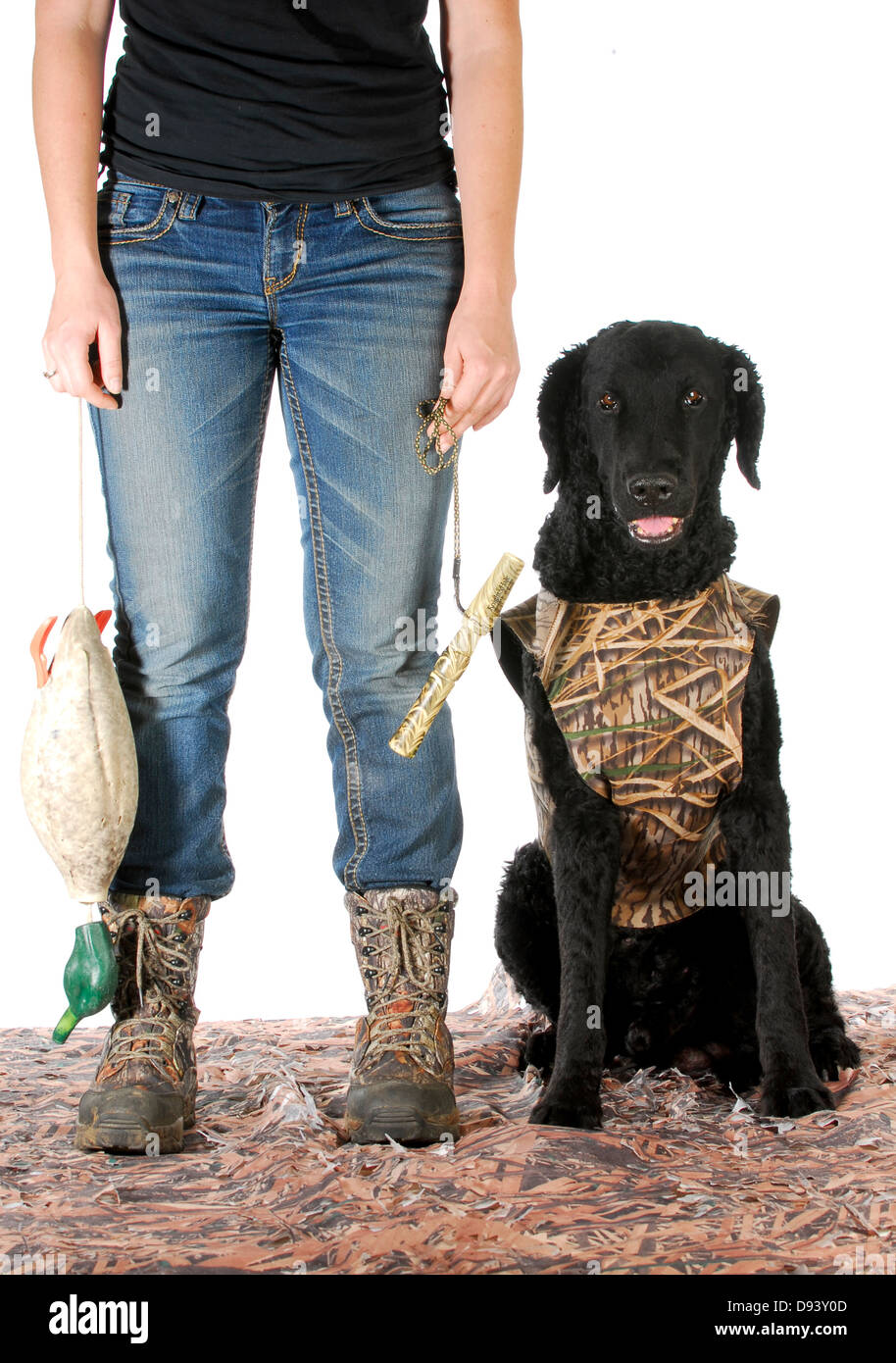 hunting dog woman hunter and her curly coated retriever isolated on