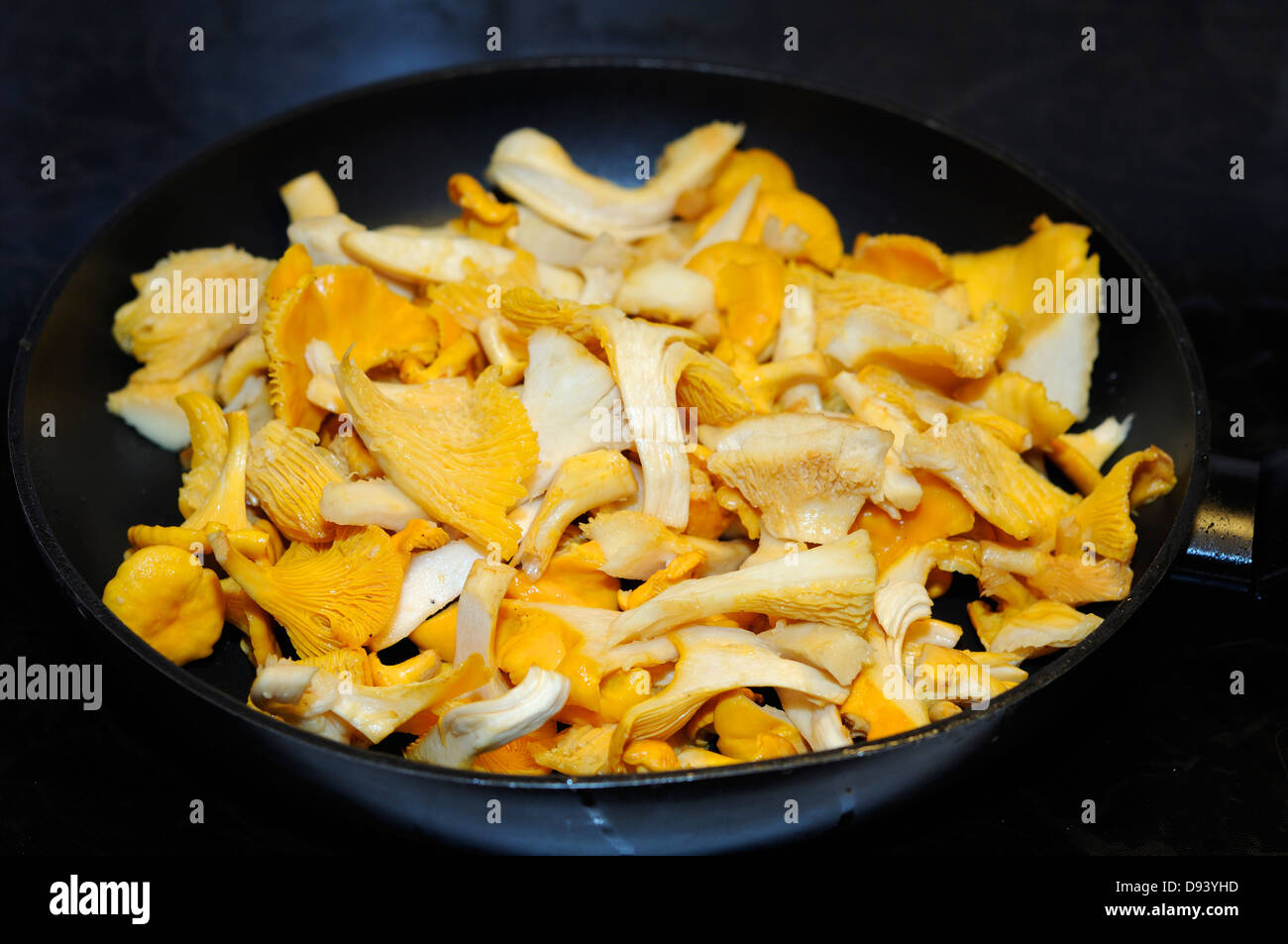 Chanterelles (Cantharellus tubaeformis) on frying pan Stock Photo